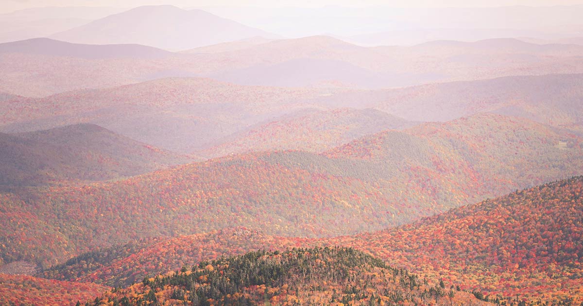 Vermont Court gives green light to State’s PCB lawsuit against Monsanto